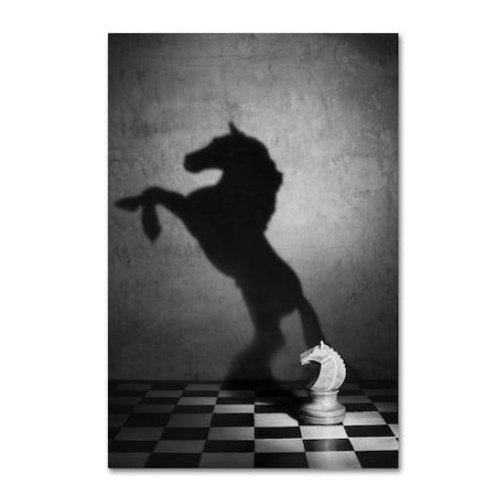 Trademark Fine Art Victoria Ivanova 'The Soul Of A Mustang' Canvas Art, 12x19 1X04034-C1219GG